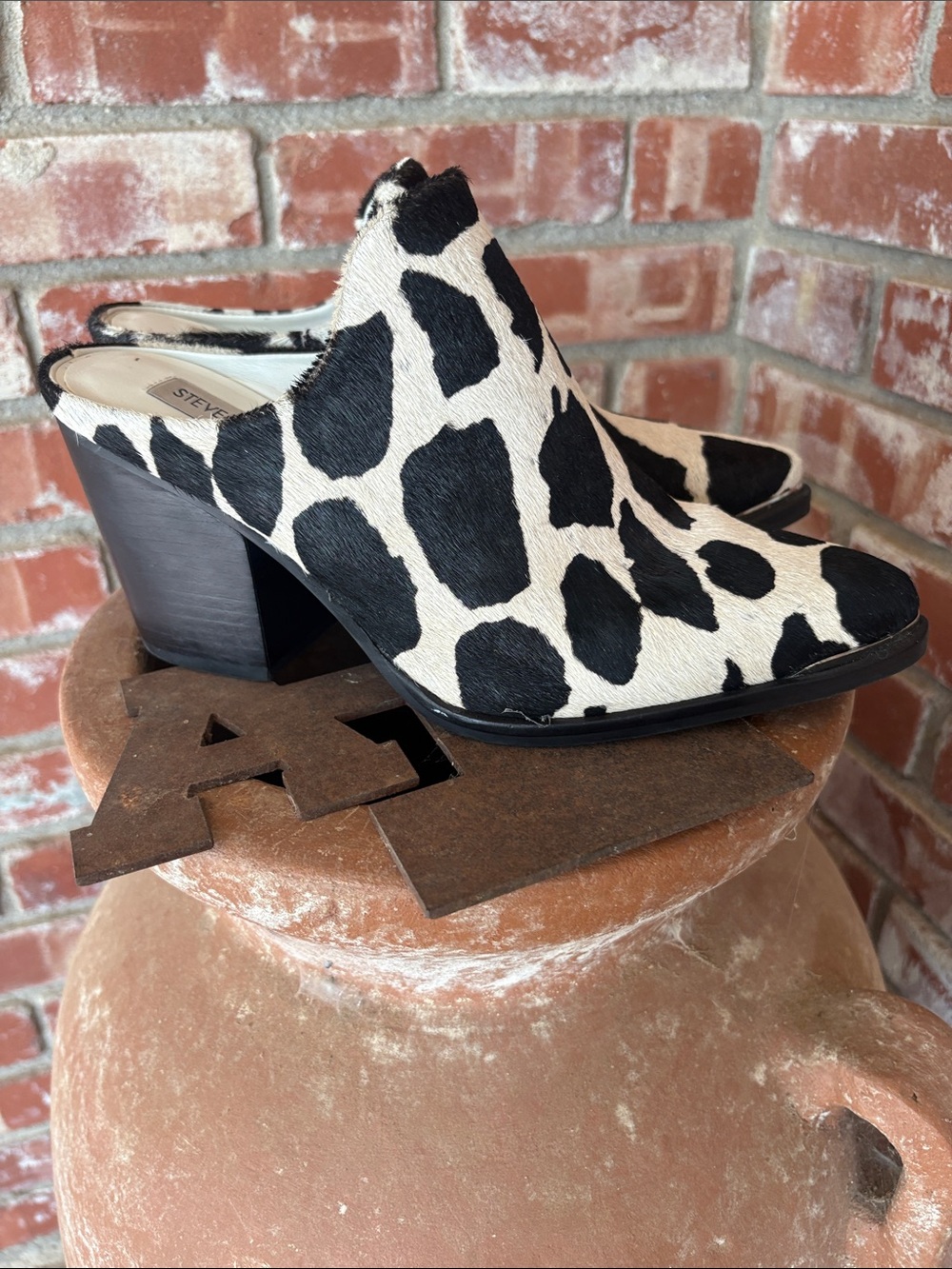 Steve MaddenCow Print Ankle Boots - Black & Cream Women’s Booties
